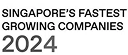 Singapore's Fastest Growing Companies 2024