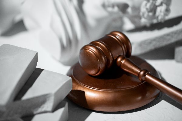 Litigation Data Factsheet